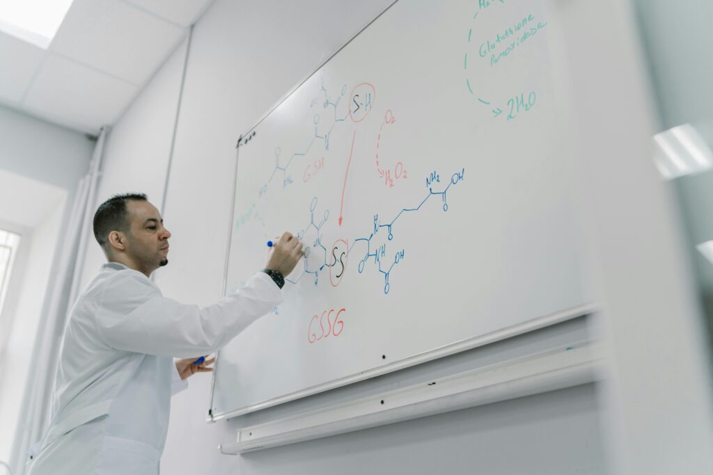 A Multimodal Approach to Brain Imaging in Medical Research